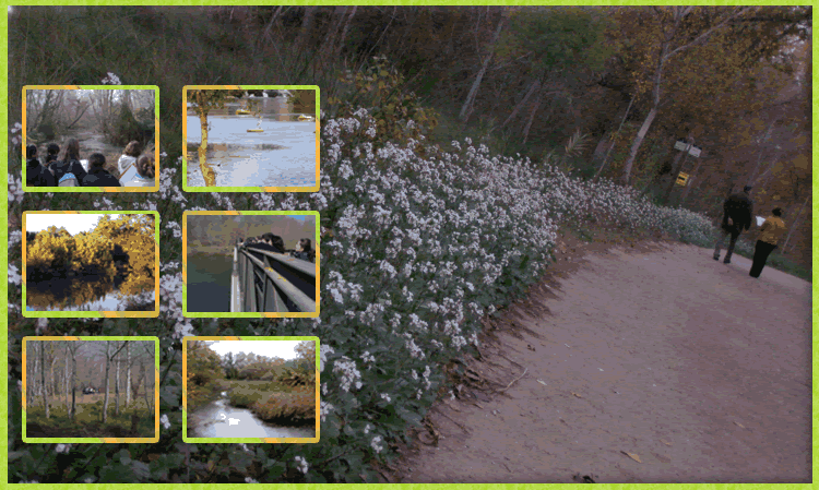 Camins de dins del parc municipal de la mitjana on hi destaca la floració blanca de rabanisses i els arbres a la part esquerra i un camí amb dues persones passejant-hi a la dreta.