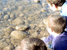 Tres nens observant característiques del riu a la vora mateix d’aquest.