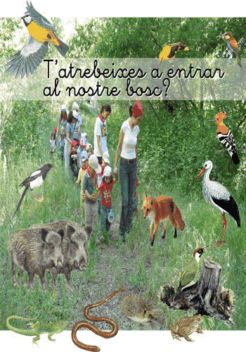 Pòster que combina una fotografia d’un grup escolar entrant al bosc de ribera del Xop amb dibuixos d’animals que allà hi habiten. Hi veiem dos porcs senglars, un oriol, una mallarenga blava, un oriol, una cigonya, una puput, un llangardaix, un picot verd, un gripau, un eriçó, una serp i un abellerol.
